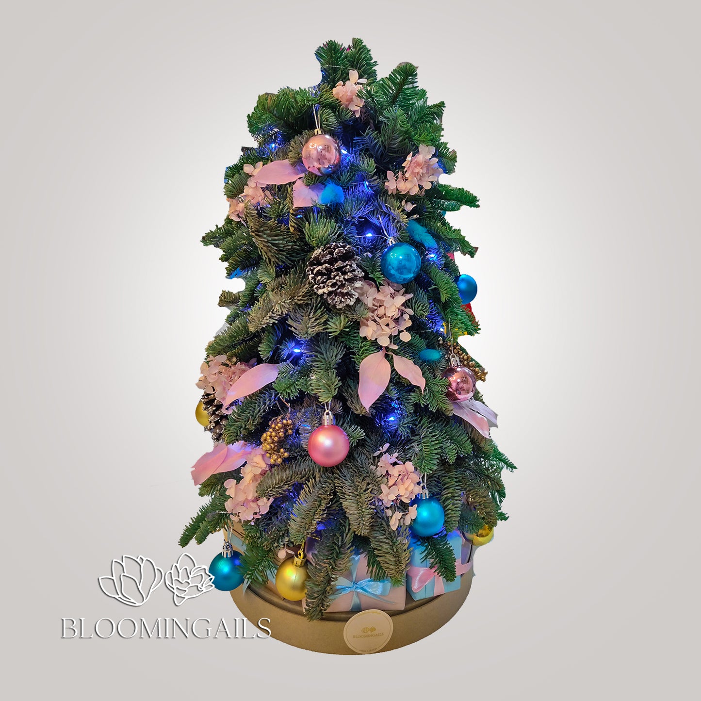 Abies Nobilis Tree with Lights and Mini Gifts at Base - Bloomingailsph