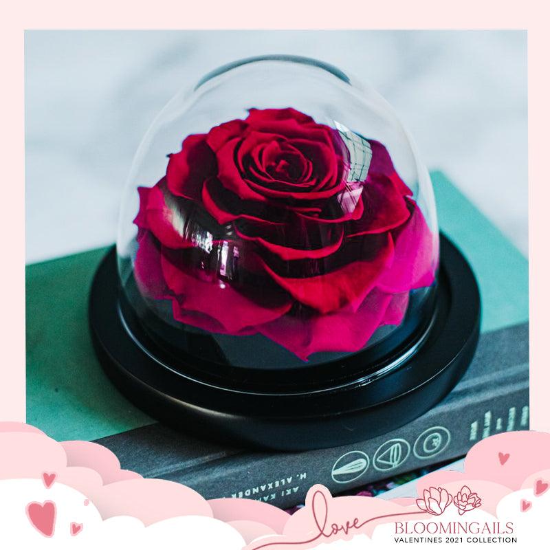 The Belle Rose Valentine Edition - Bloomingailsph