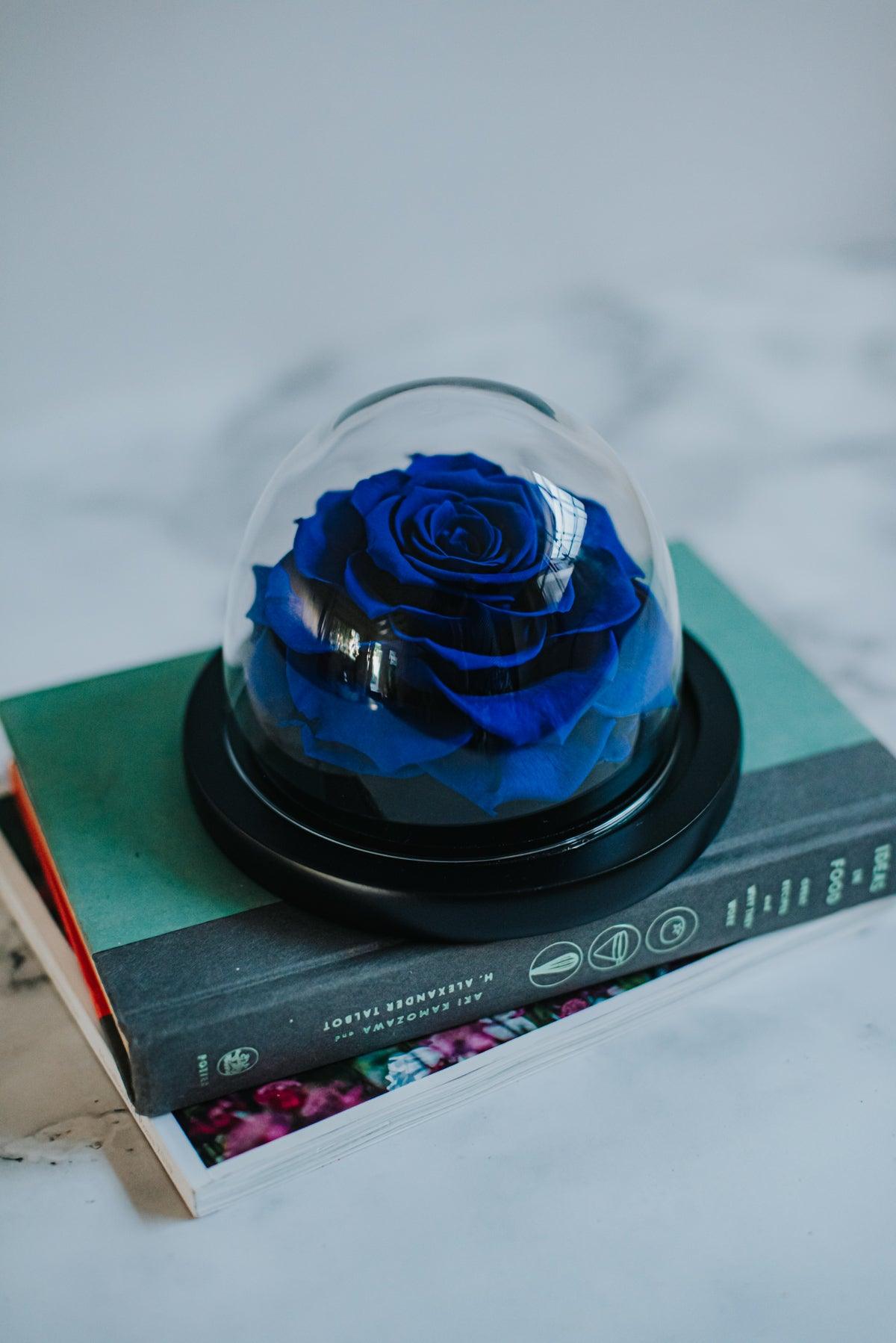 The Belle Rose Mini Dome