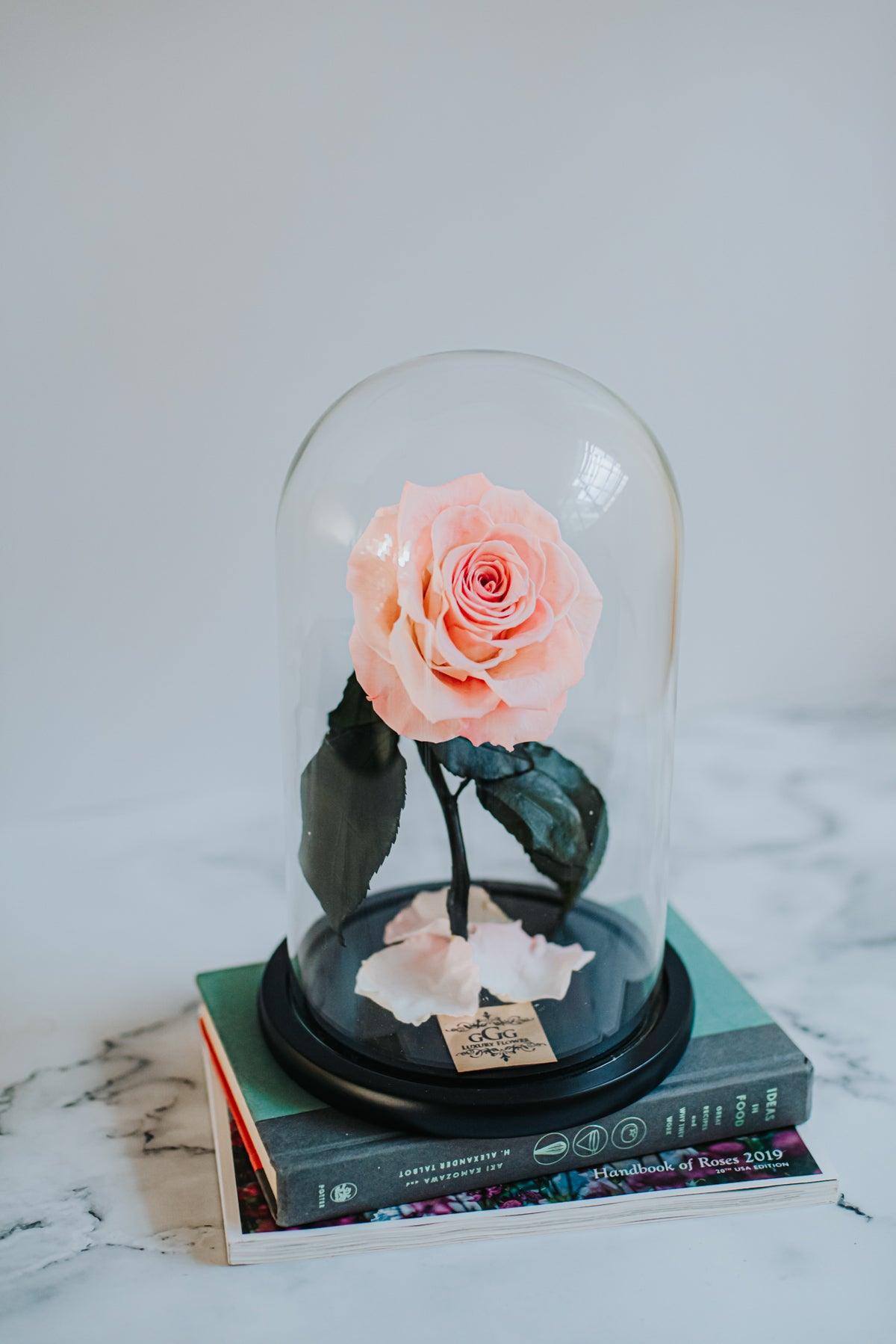 The Belle Rose Classic Dome - Bloomingailsph