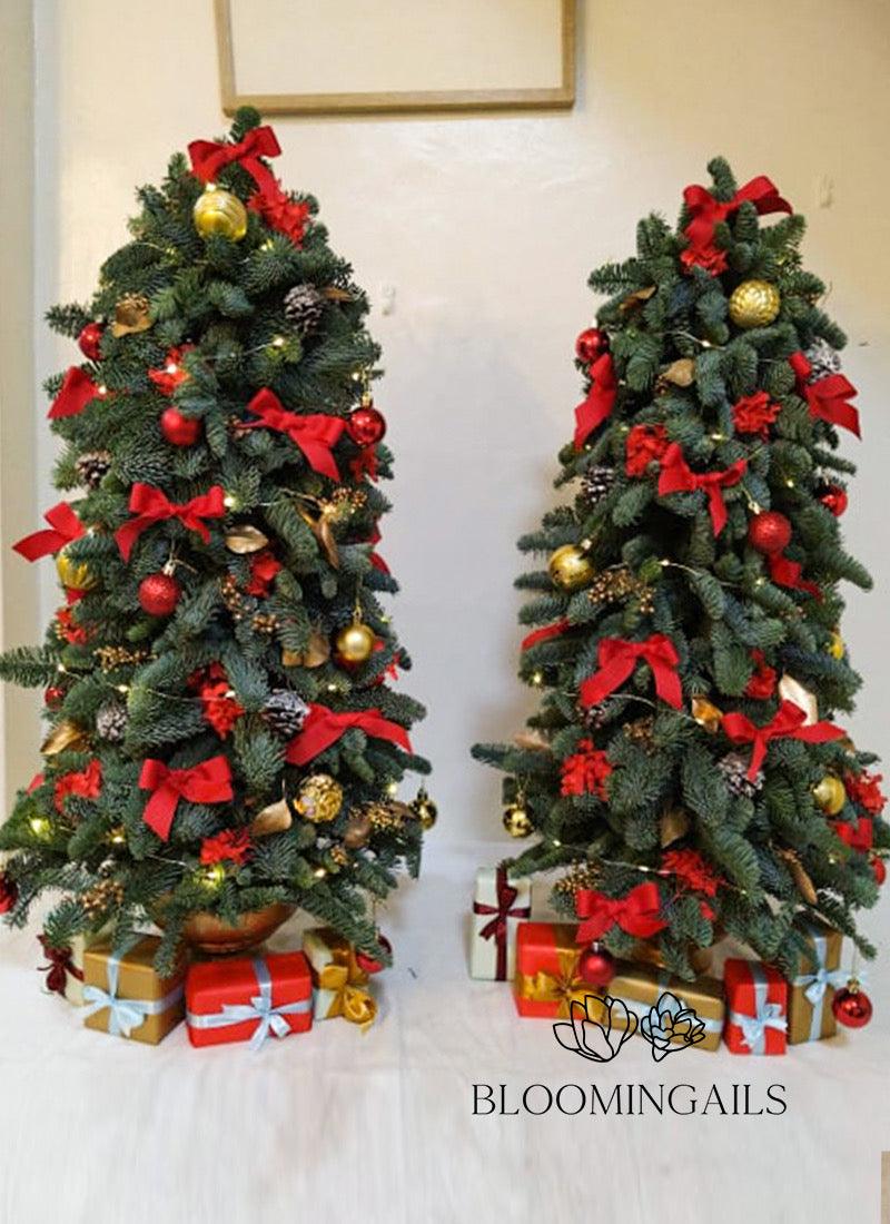 Abies Nobilis Tree with Lights and Mini Gifts at Base - Bloomingailsph
