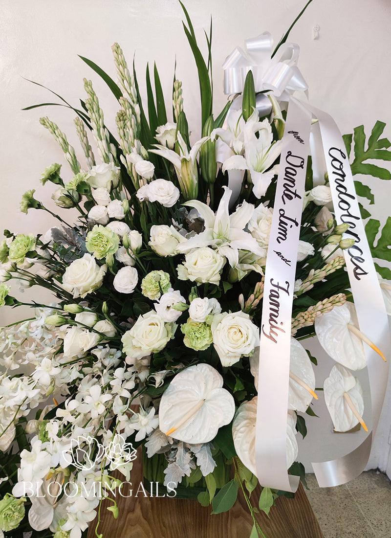 Solemn Memories - Bloomingailsph