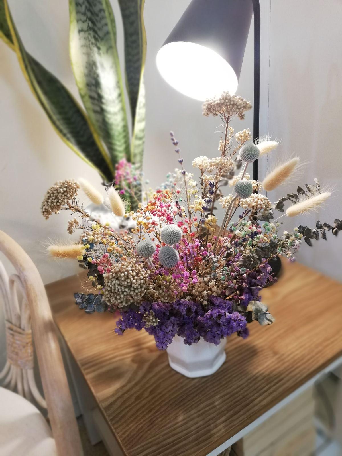 The Erica Potted-Image-1