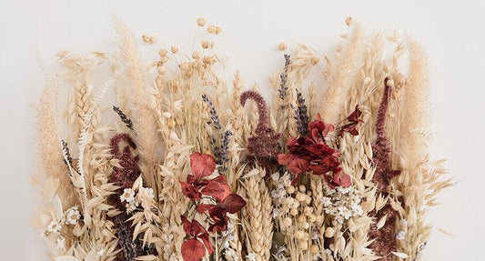 Caring for your Dried Flowers - Bloomingailsph
