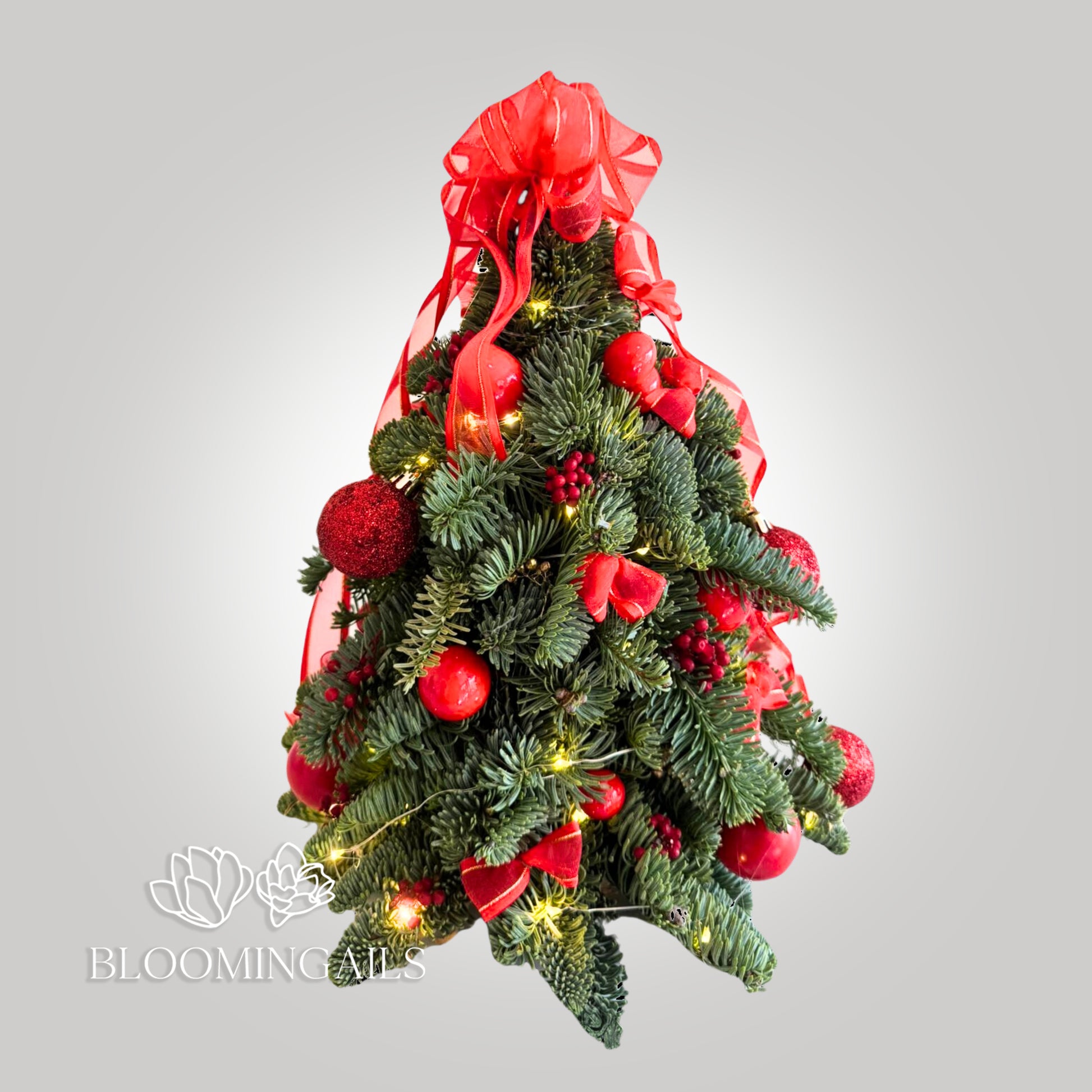 Abies Nobilis Mini Christmas Tree with Red Decorations and Lights