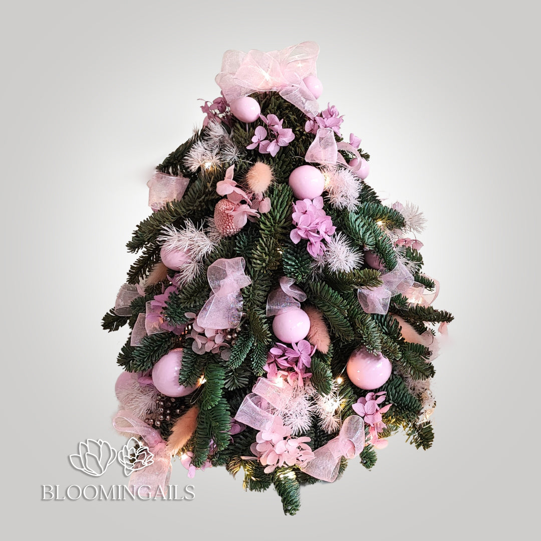 Abies Nobilis Mini Christmas Tree with Lights