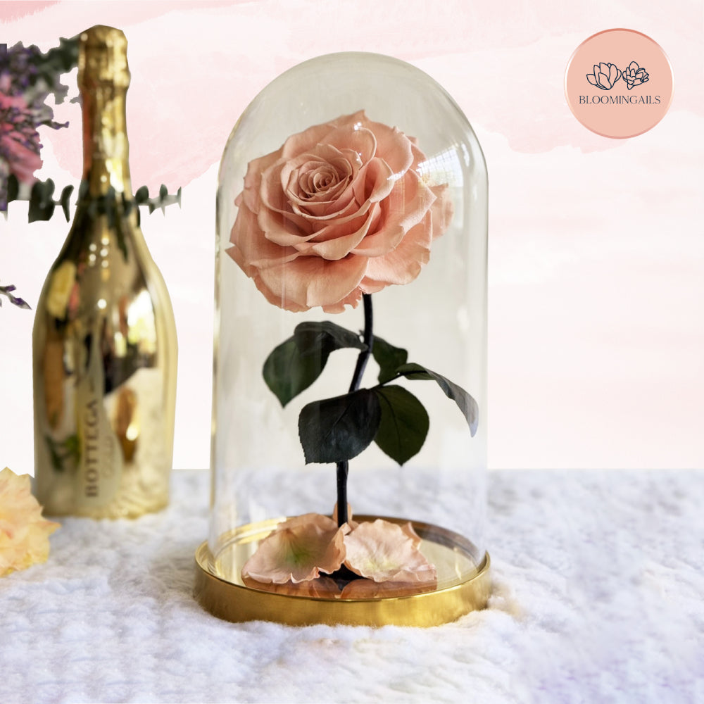 The Belle Rose Classic Dome (Luxury Infinite Rose - Limited Edition)