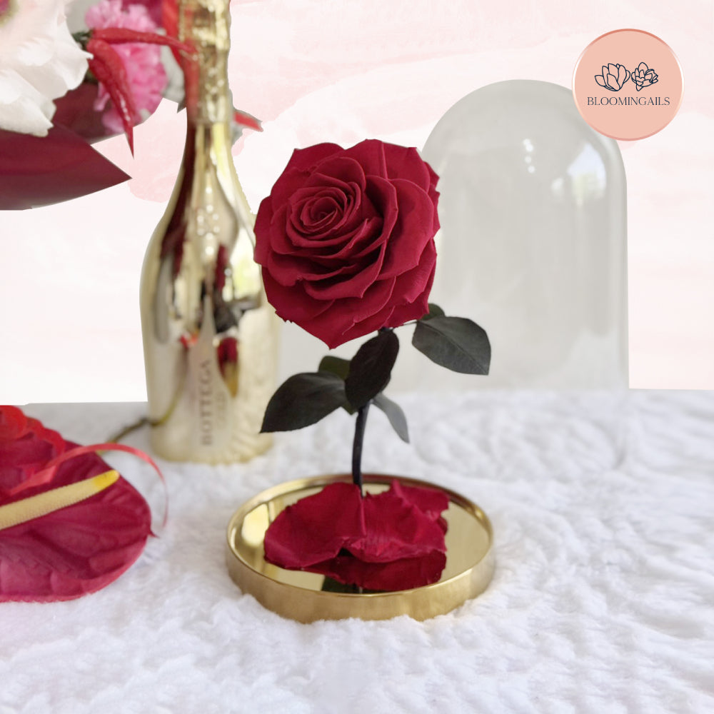 The Belle Rose Classic Dome (Luxury Infinite Rose - Limited Edition)