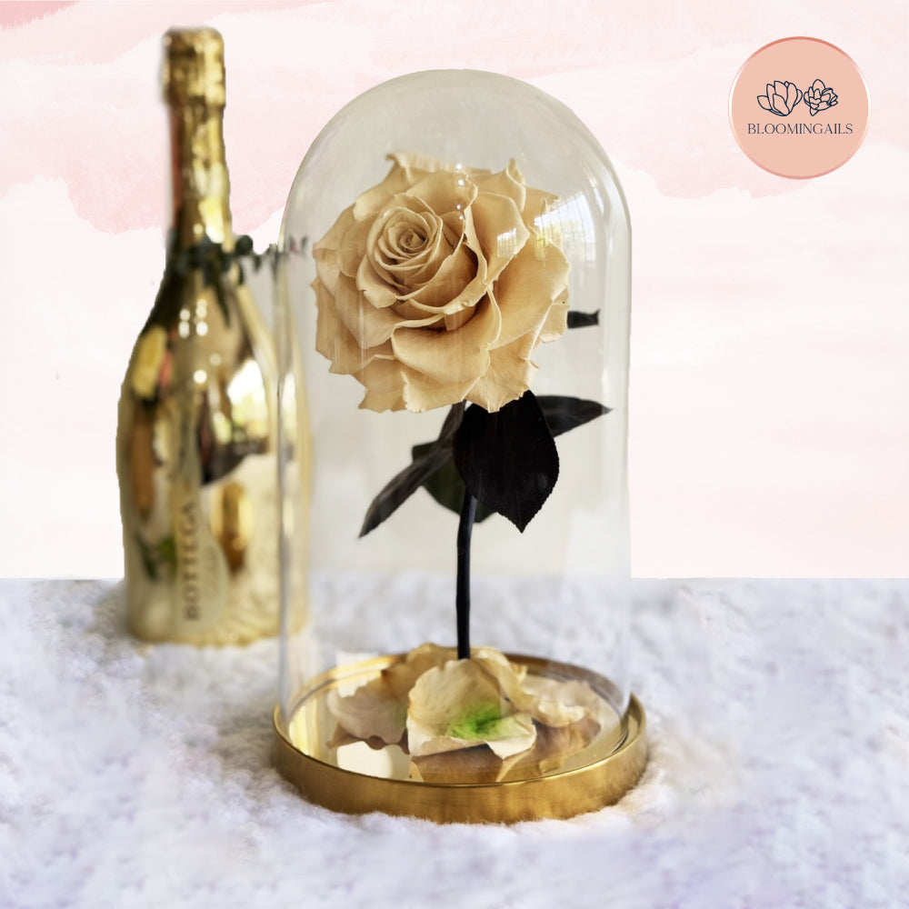 The Belle Rose Classic Dome (Luxury Infinite Rose - Limited Edition)