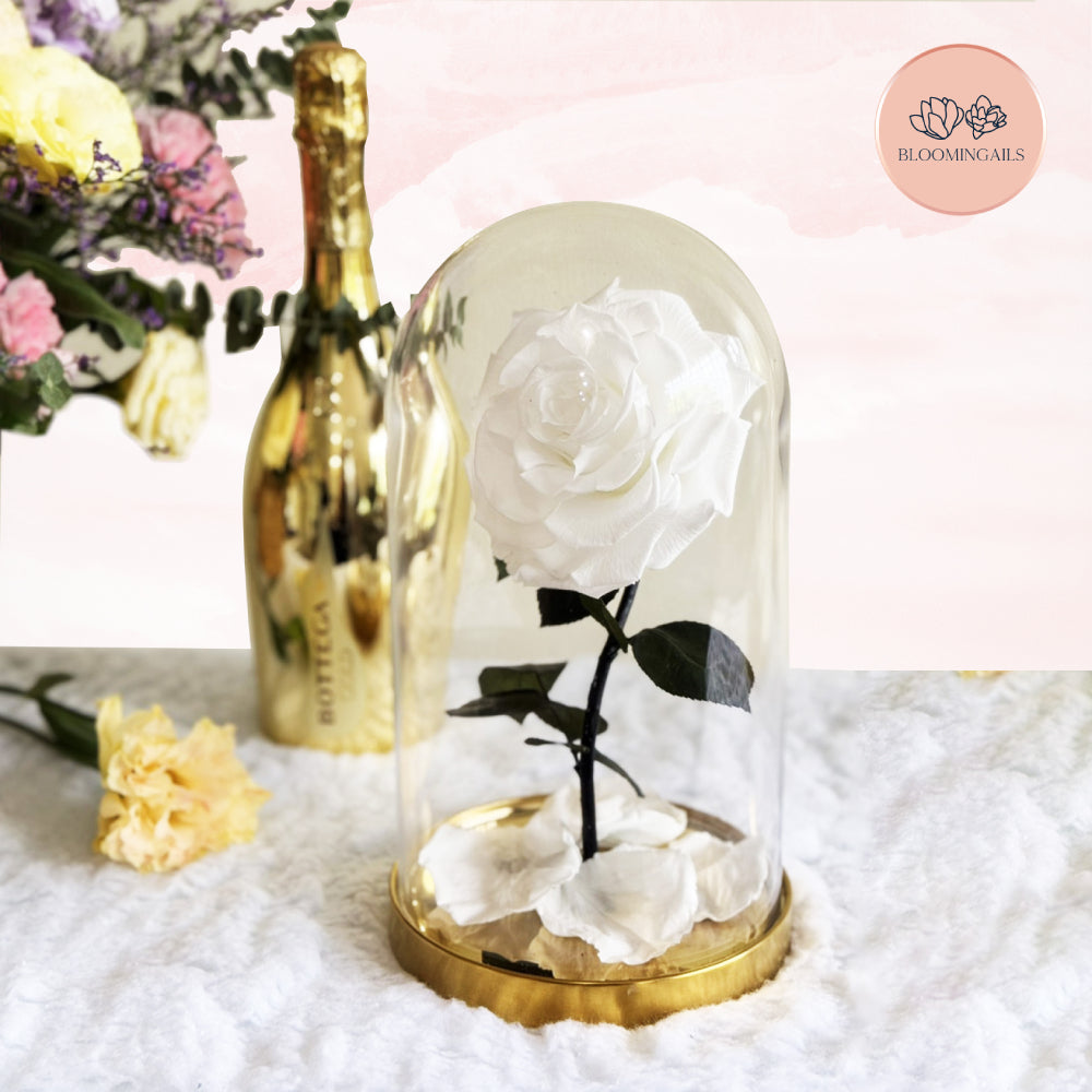 The Belle Rose Classic Dome (Luxury Infinite Rose - Limited Edition)