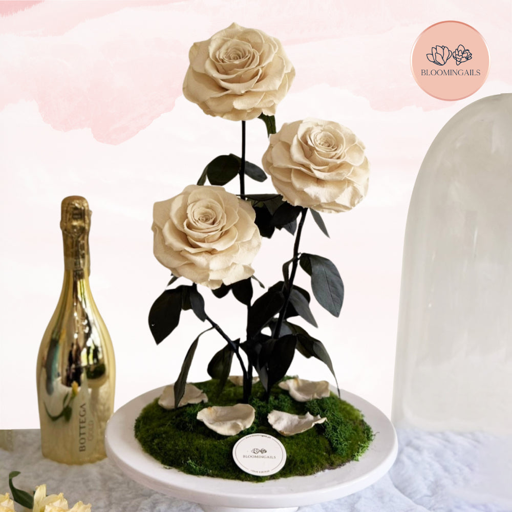 The Belle Rose Dome (Luxury Infinite Rose - Limited Edition)