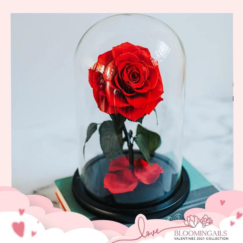 The Belle Rose Valentine Edition - Bloomingailsph