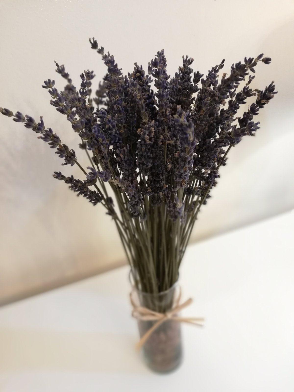 The Lavender Mini Bundle with Vase